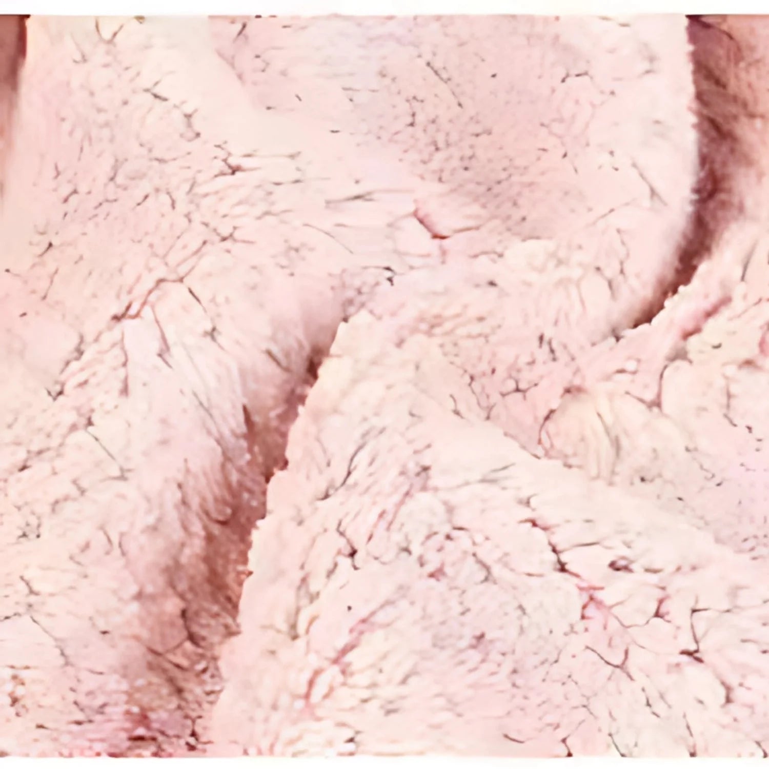 Microfiber Hair Towel Wrap Quick-Dry Turban Hat for Women’s Bath &amp; Spa Routine Cyntinostore